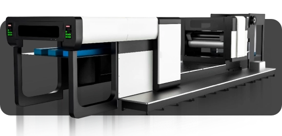 automated uv curing system